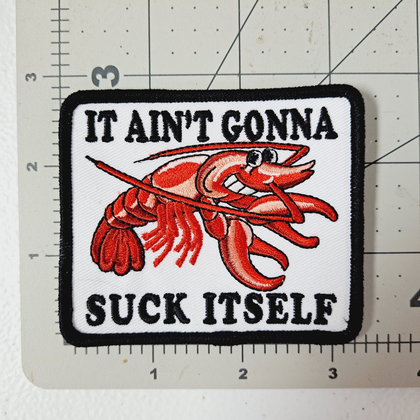 It Ain't Gonna Suck Itself Embroidered Patch